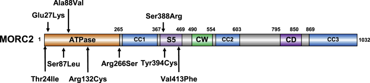 Figure 1