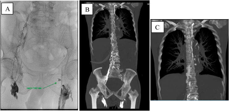 Fig. 8