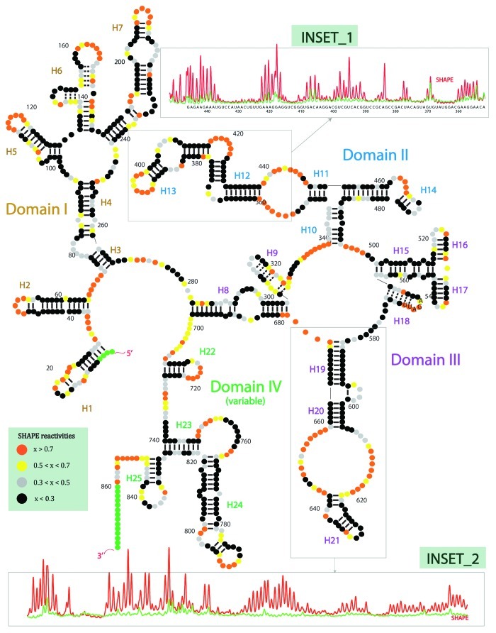 graphic file with name bioa-2-189-g1.jpg