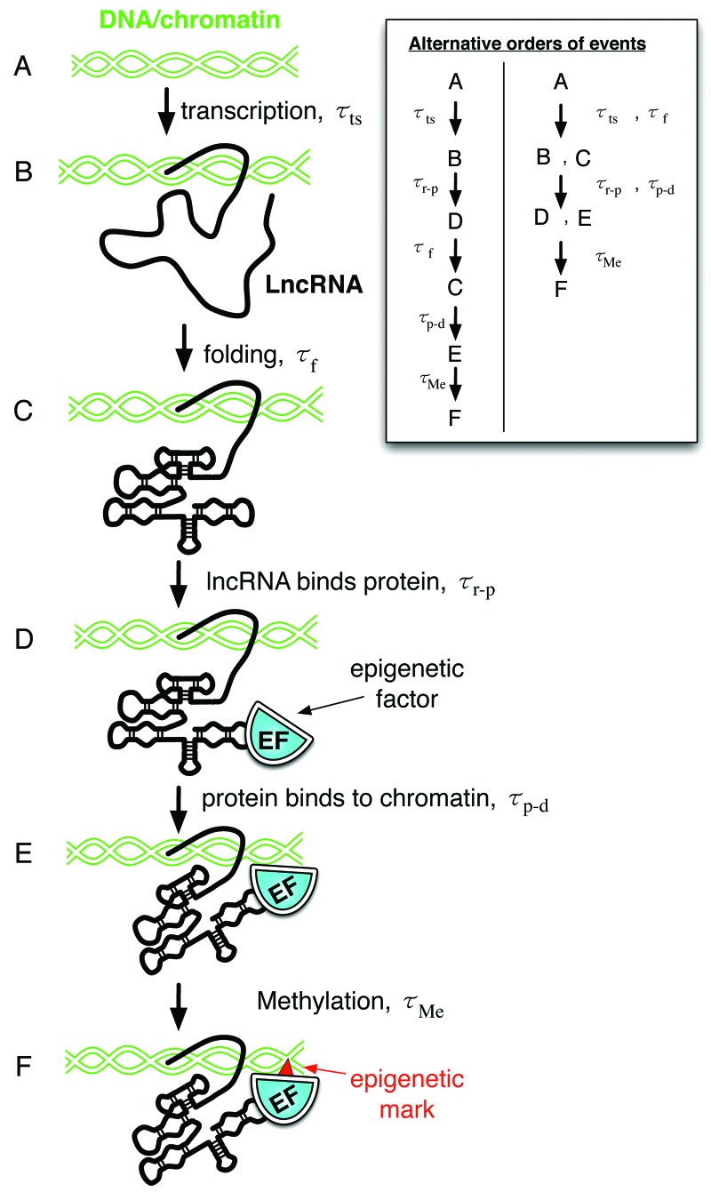 graphic file with name bioa-2-189-g4.jpg