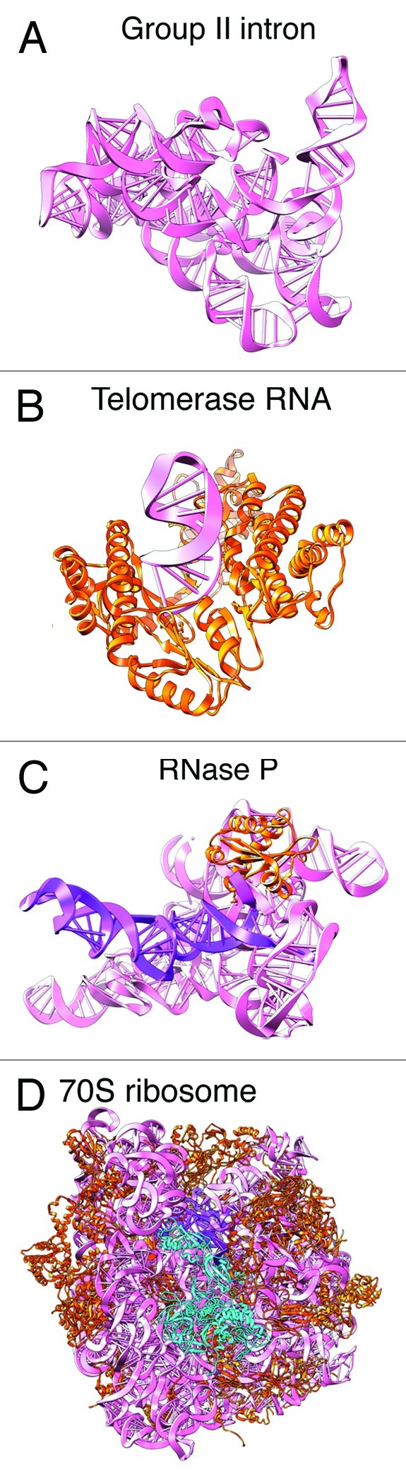 graphic file with name bioa-2-189-g2.jpg