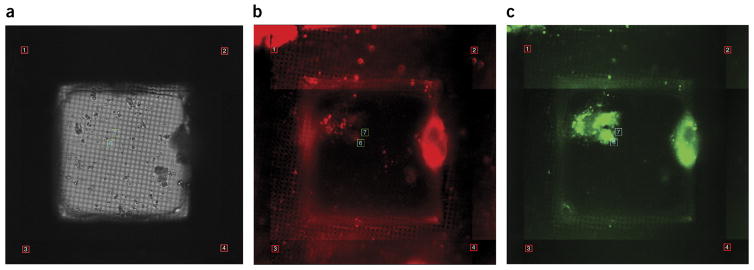 Figure 7