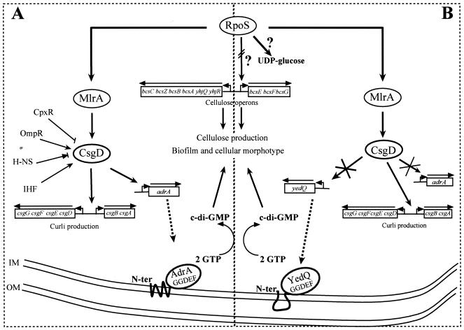 FIG. 6.