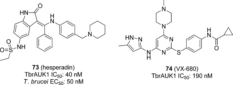 Figure 22