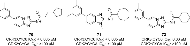 Figure 21