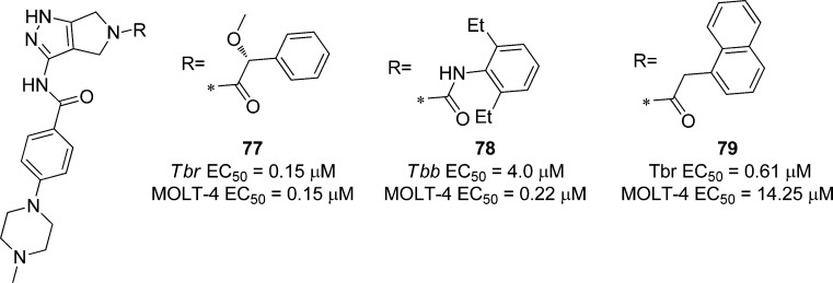 Figure 24