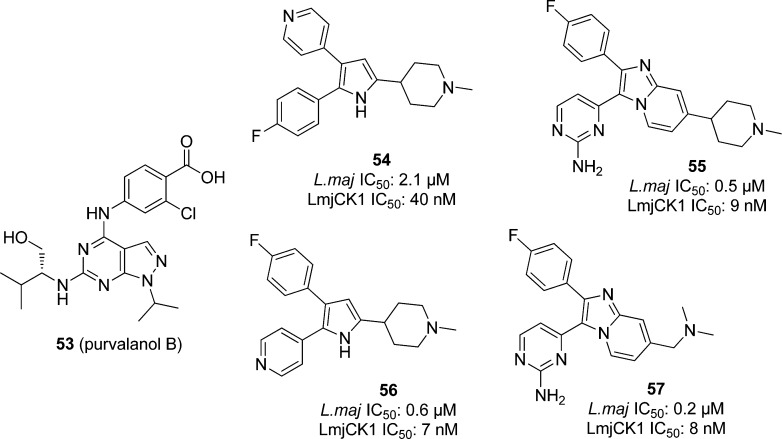 Figure 17