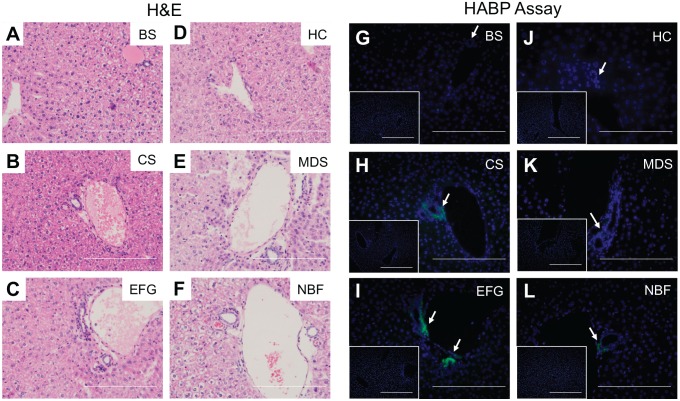 Figure 10.