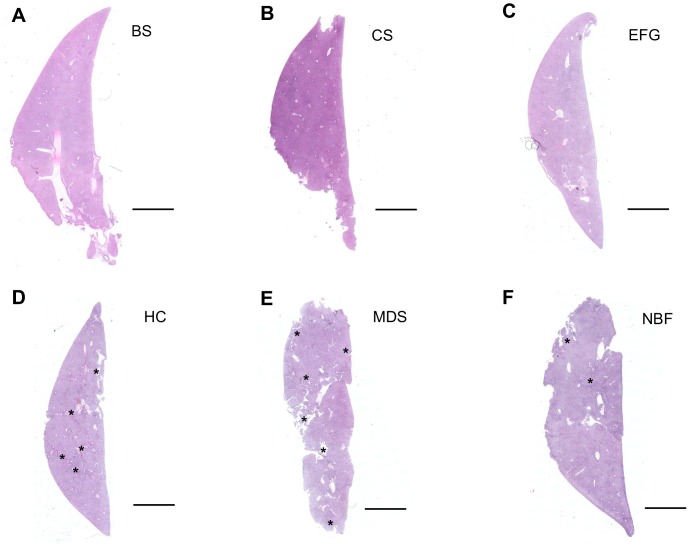 Figure 9.