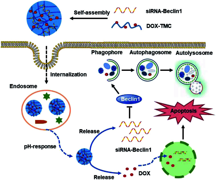 graphic file with name c8ra06548a-ga.jpg