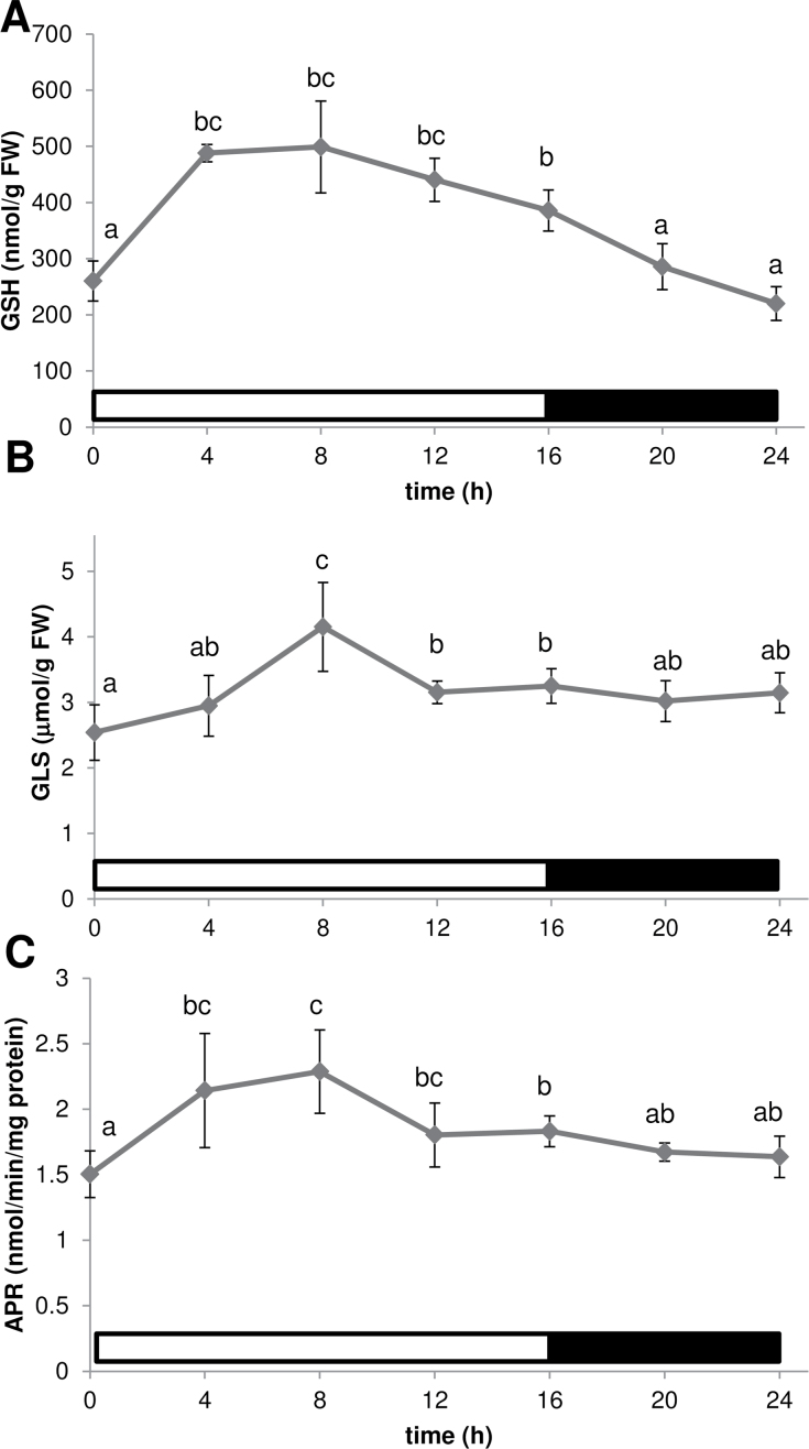 Fig. 3. 