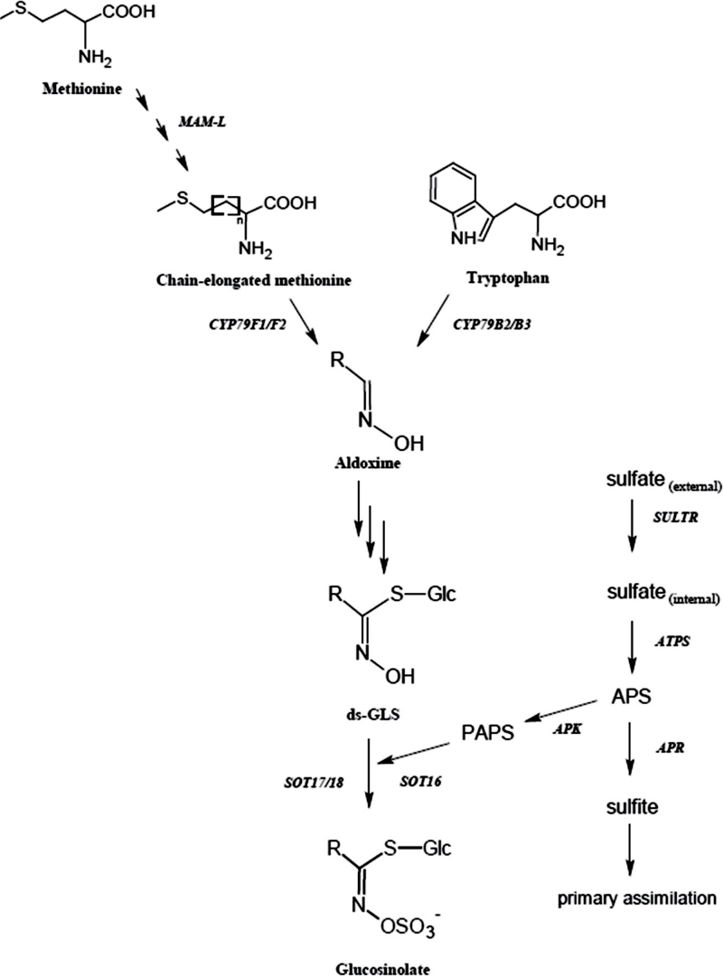 Fig. 1. 