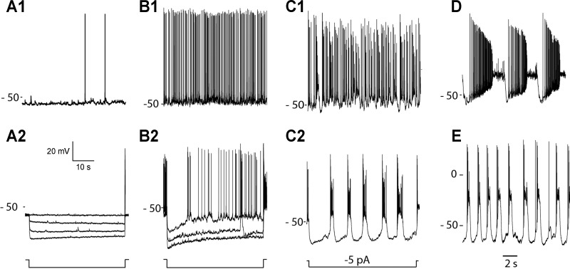 Fig. 2.