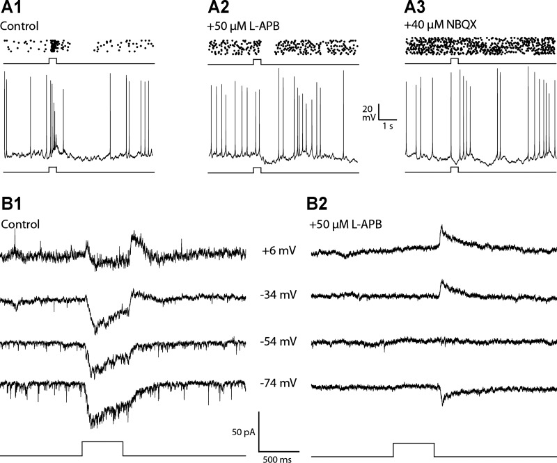 Fig. 7.