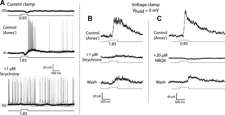 Fig. 6.