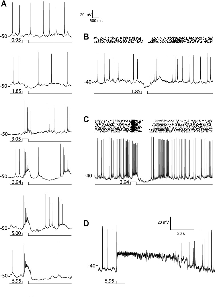 Fig. 3.