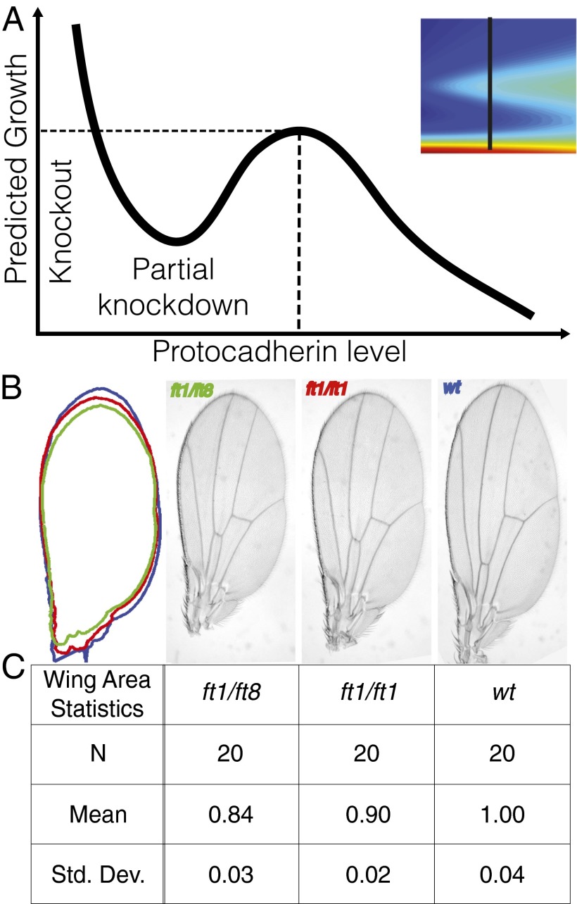 Fig. 4.