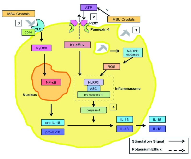 Figure 2. 