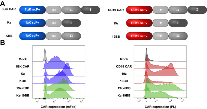 Figure 2