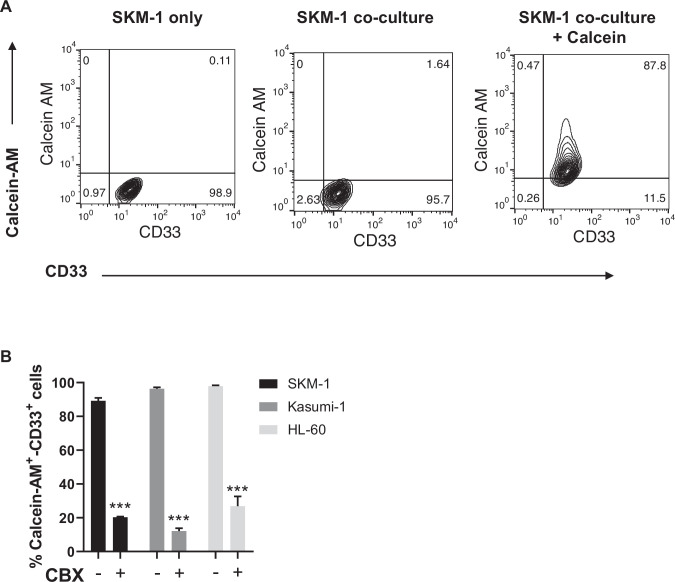 Figure 5—figure supplement 1.