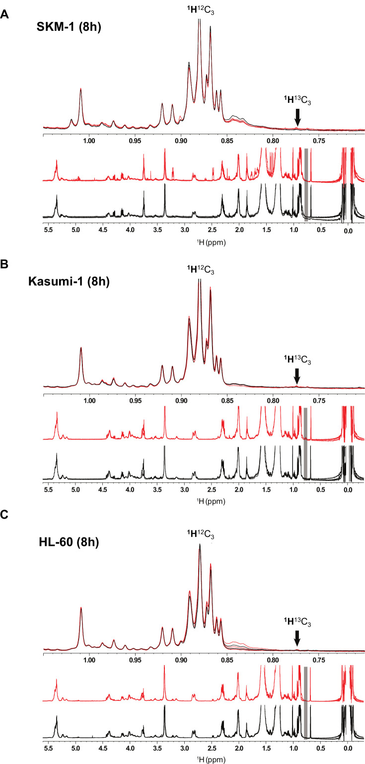 Figure 2—figure supplement 3.