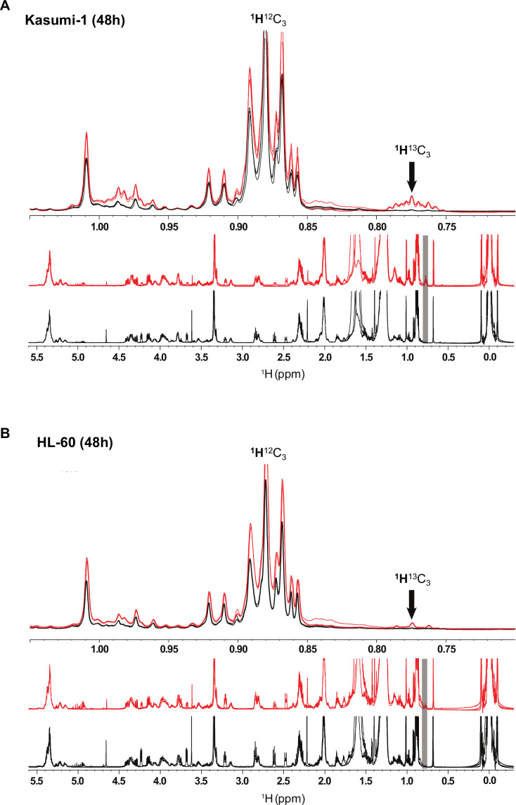 Figure 2—figure supplement 4.