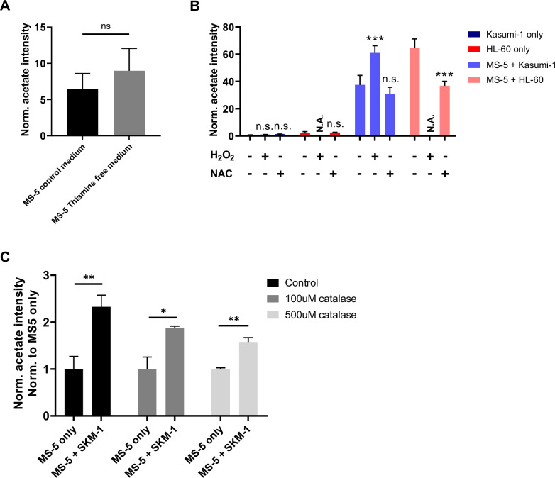 Figure 4—figure supplement 1.