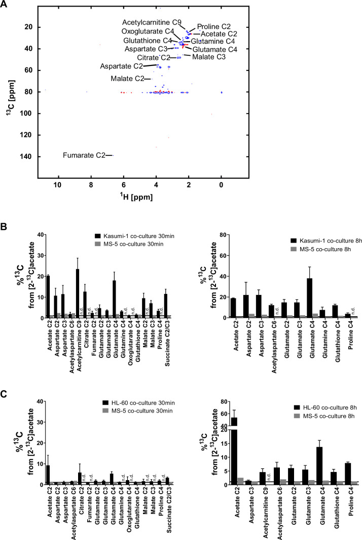 Figure 2—figure supplement 2.