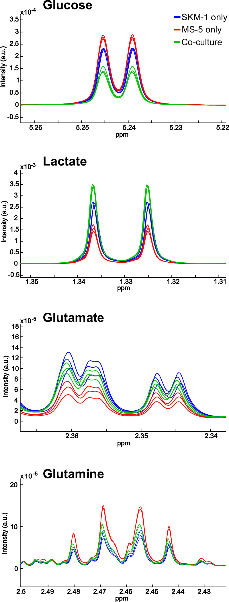 Figure 1—figure supplement 1.