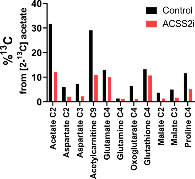 Figure 2—figure supplement 5.