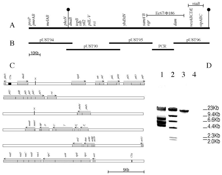 FIG. 1