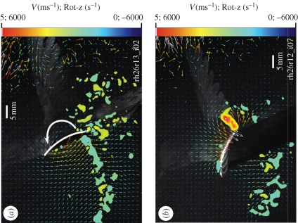 Figure 3.