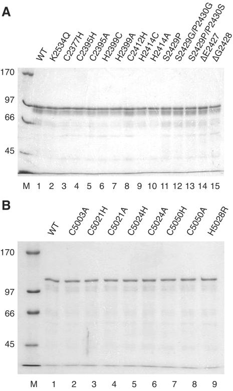 FIG. 5.