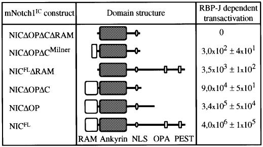 graphic file with name cdd243f8.jpg