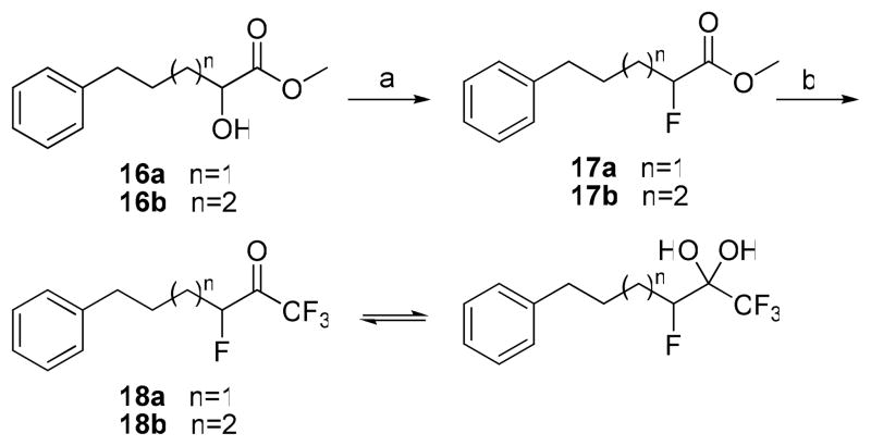 Scheme 4