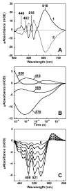 Fig. 3