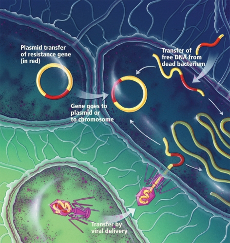 Microbiomes and resistance