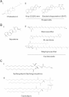 FIG 2