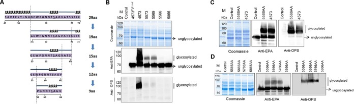 FIG 4 