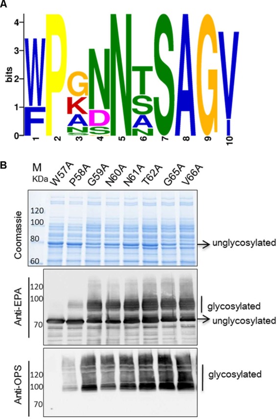 FIG 5 