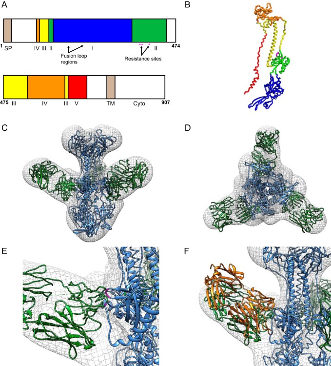 FIG 5