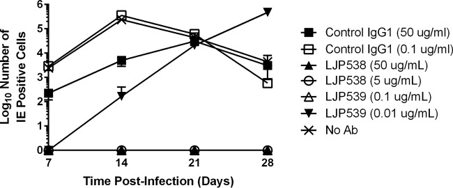 FIG 2