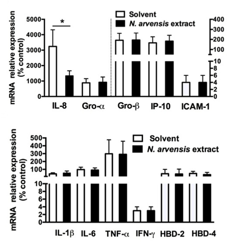 FIGURE 3