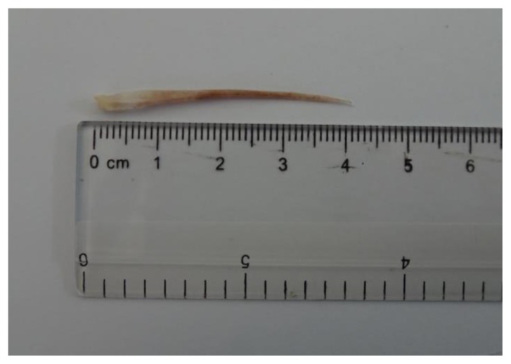 Figure 8