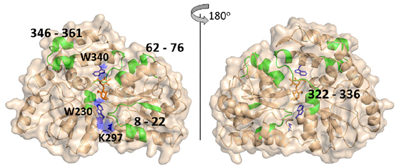 Figure 6.