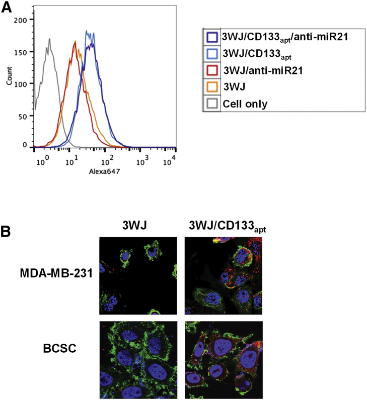 Figure 2