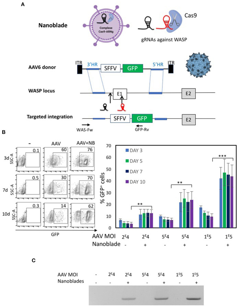 Figure 6