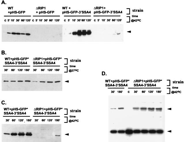 FIG. 6