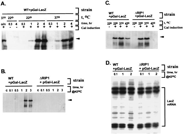 FIG. 7