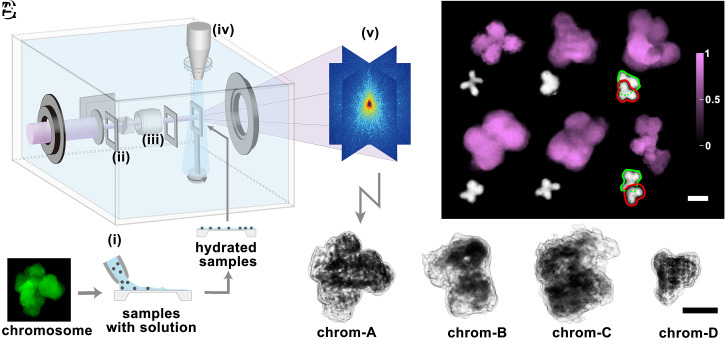 Fig. 1.